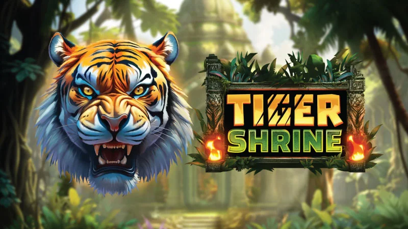 Выпадение бонуса с тиграми и респином в Tiger Shrine